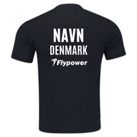 Denmark + Flypower Logo